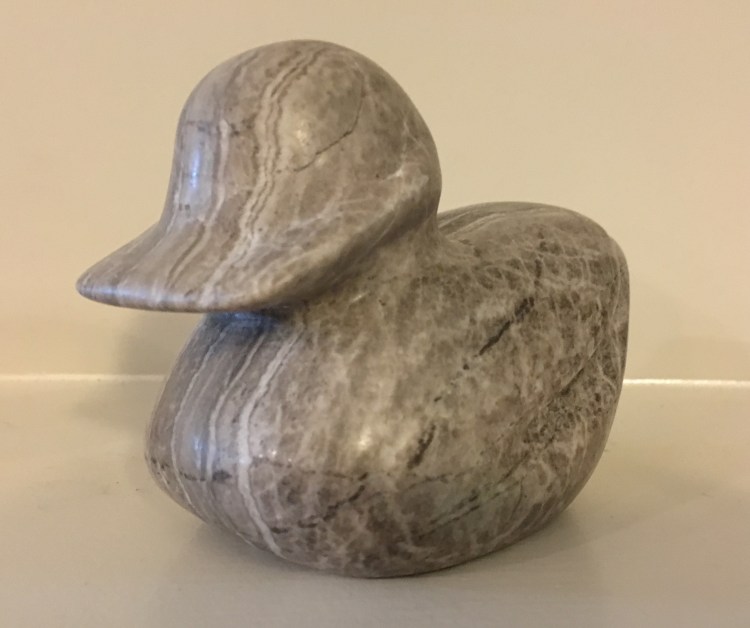 Alabaster gray duck