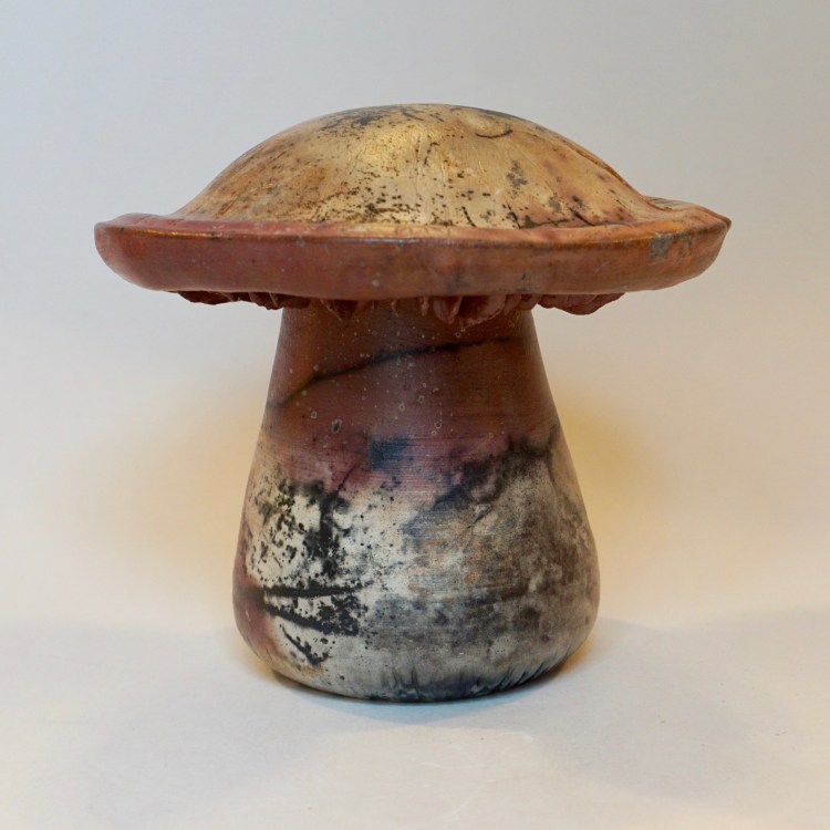 Clay Mushroom