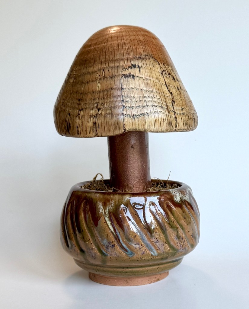 Potted Mushroom #15