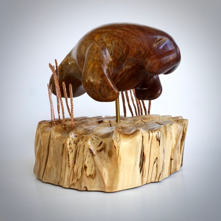 Crystal River Calf #2