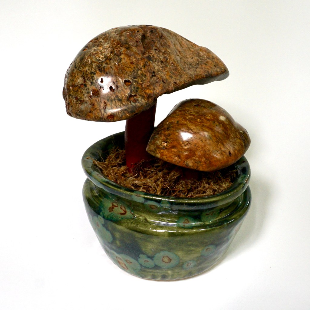 Mushroom Pot #23