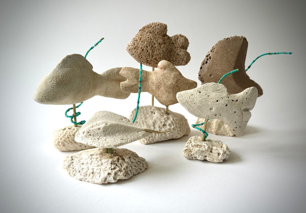 Collection of Coral Marine Life